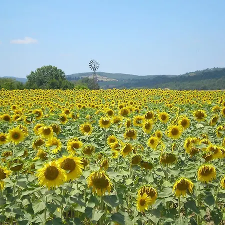 Farm stay Il Convento Di Monte Pozzali Massa Marittima